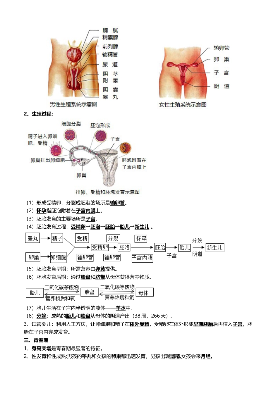 【初中九年级生物】中考资料 清单12 生物的生殖和发育（包括人的生殖）（5大考点+5大高频命题点）-2024年中考生物一轮复习知识清单.docx