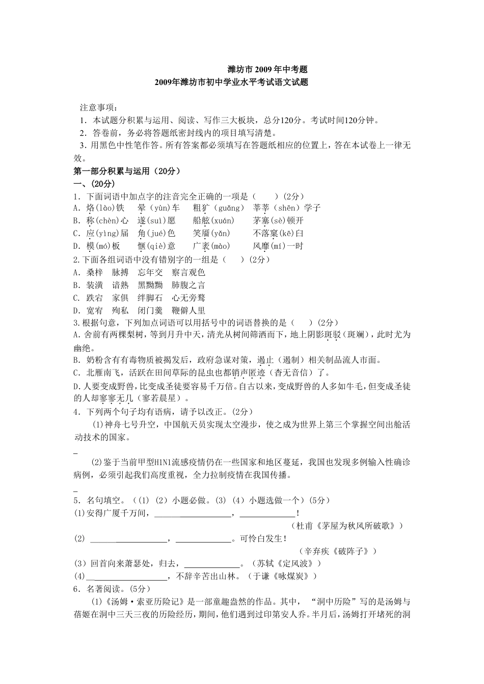 九年级语文2009年山东省潍坊市中考语文试题及答案.doc