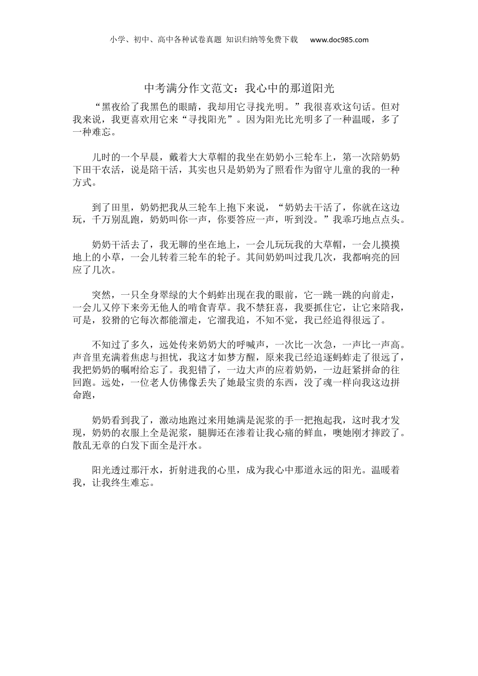 【中考满分作文范文精选】我心中的那道阳光.docx