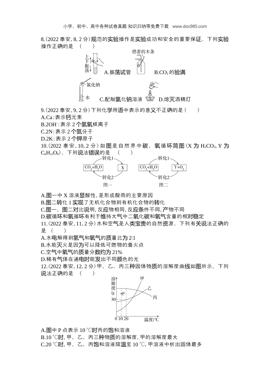 【初中历年中考真题】2022泰安化学试卷+答案+解析（word整理版）.docx