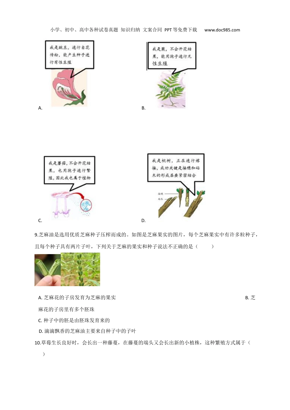 浙教版七年级下册科学试卷期中模拟试卷（原卷版）.docx