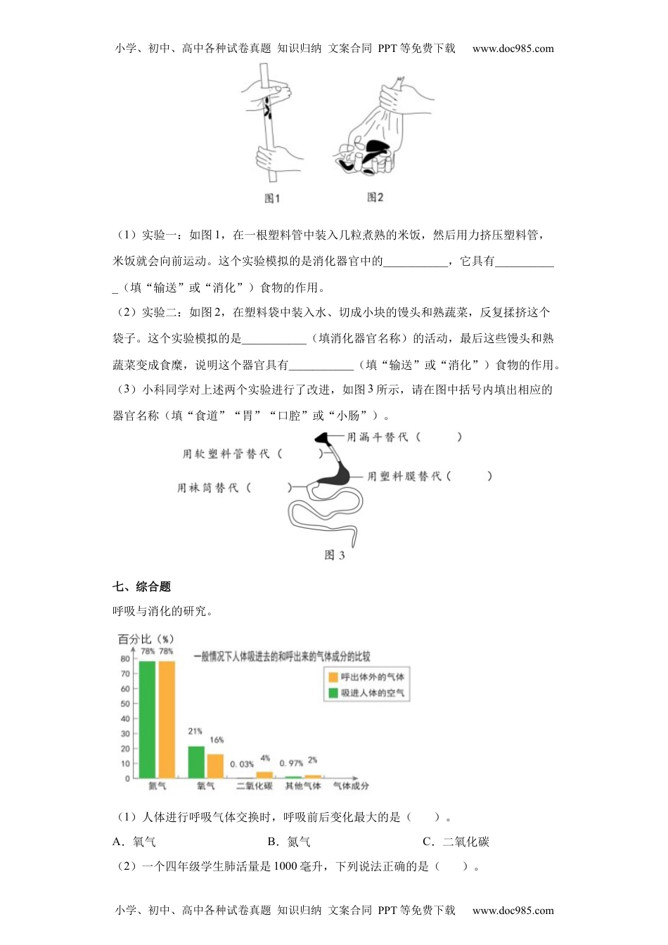 教科版 四年级上册8.食物在身体里的旅行同步练习（含答案）.docx