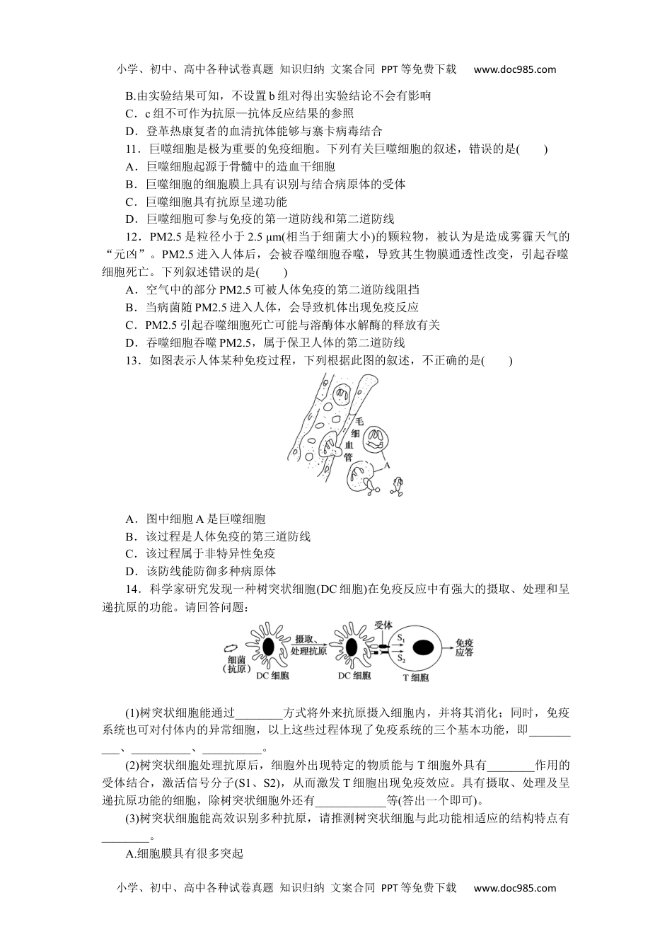 高中生物·选择性必修1课时作业（word）  课后分层检测案11.docx