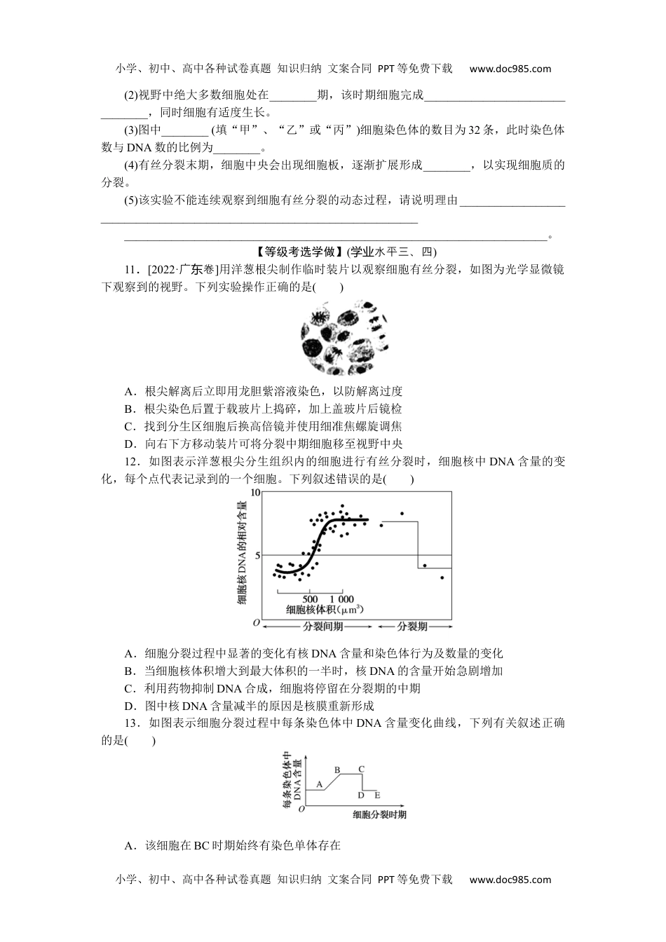 高中生物·必修1课后分层检测（单选）  课后分层检测案22.docx