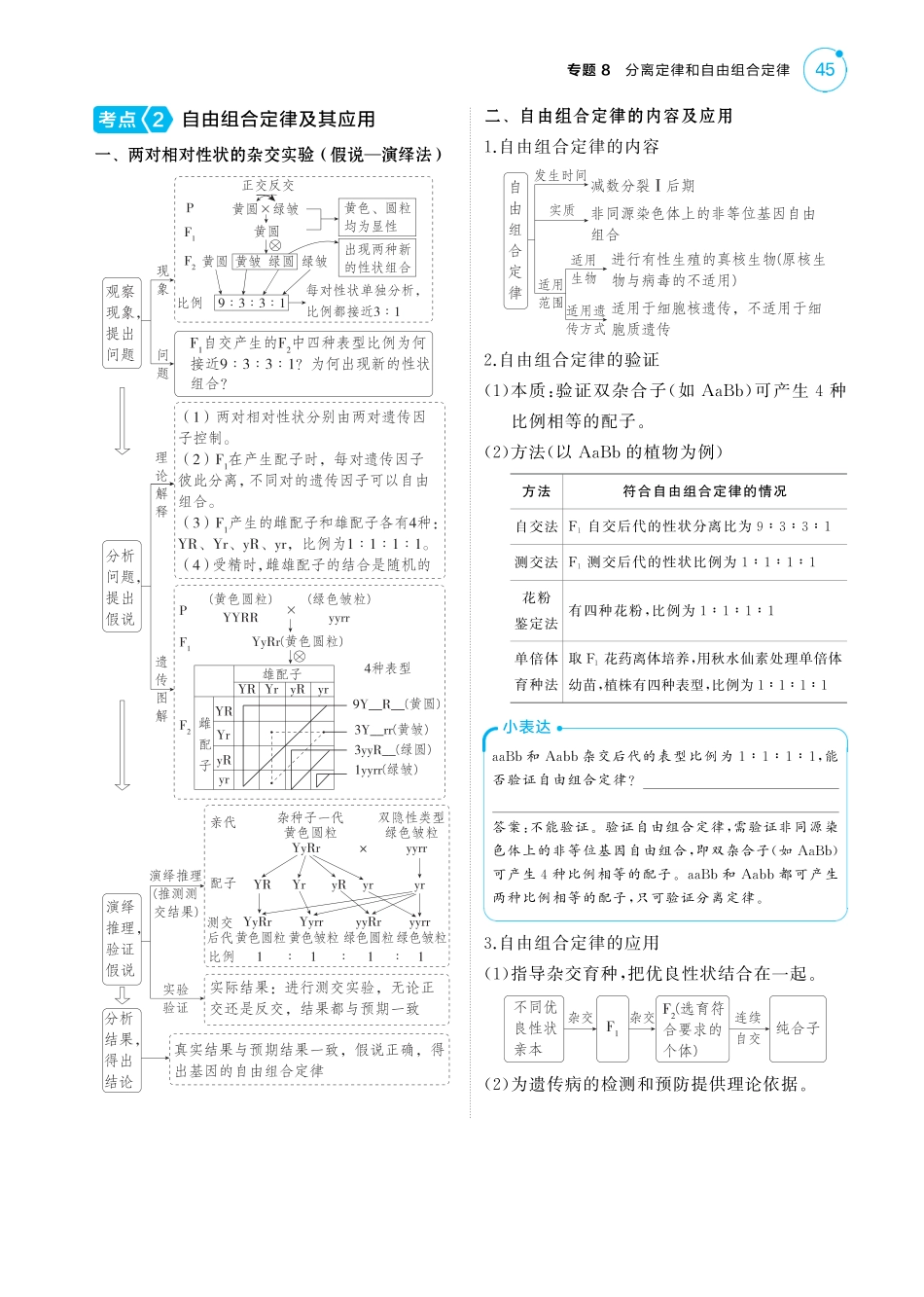 2025版新高考版 生物考点清单+考法清单专题8   分离定律和自由组合定律（讲解册PDF）.pdf