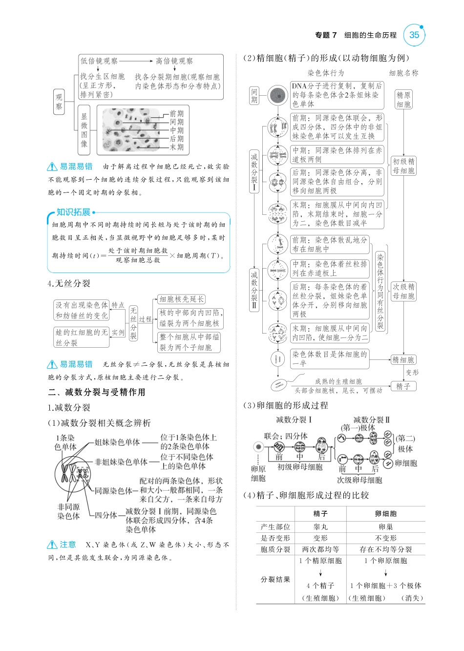 2025版新高考版 生物考点清单+考法清单专题7   细胞的生命历程（讲解册PDF）.pdf