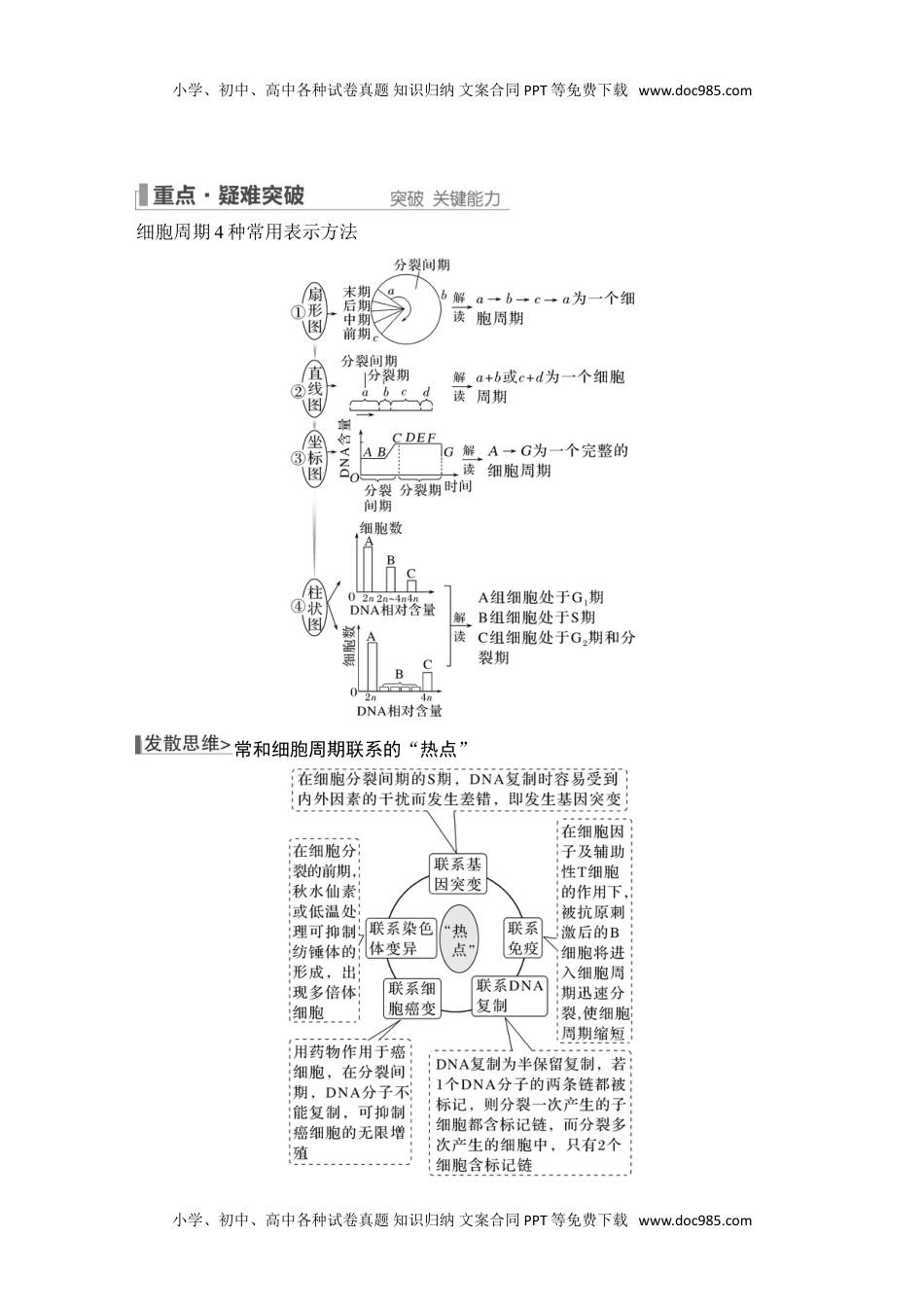 2024年高考生物一轮复习讲义（新人教版）第10讲 细胞的增殖.doc