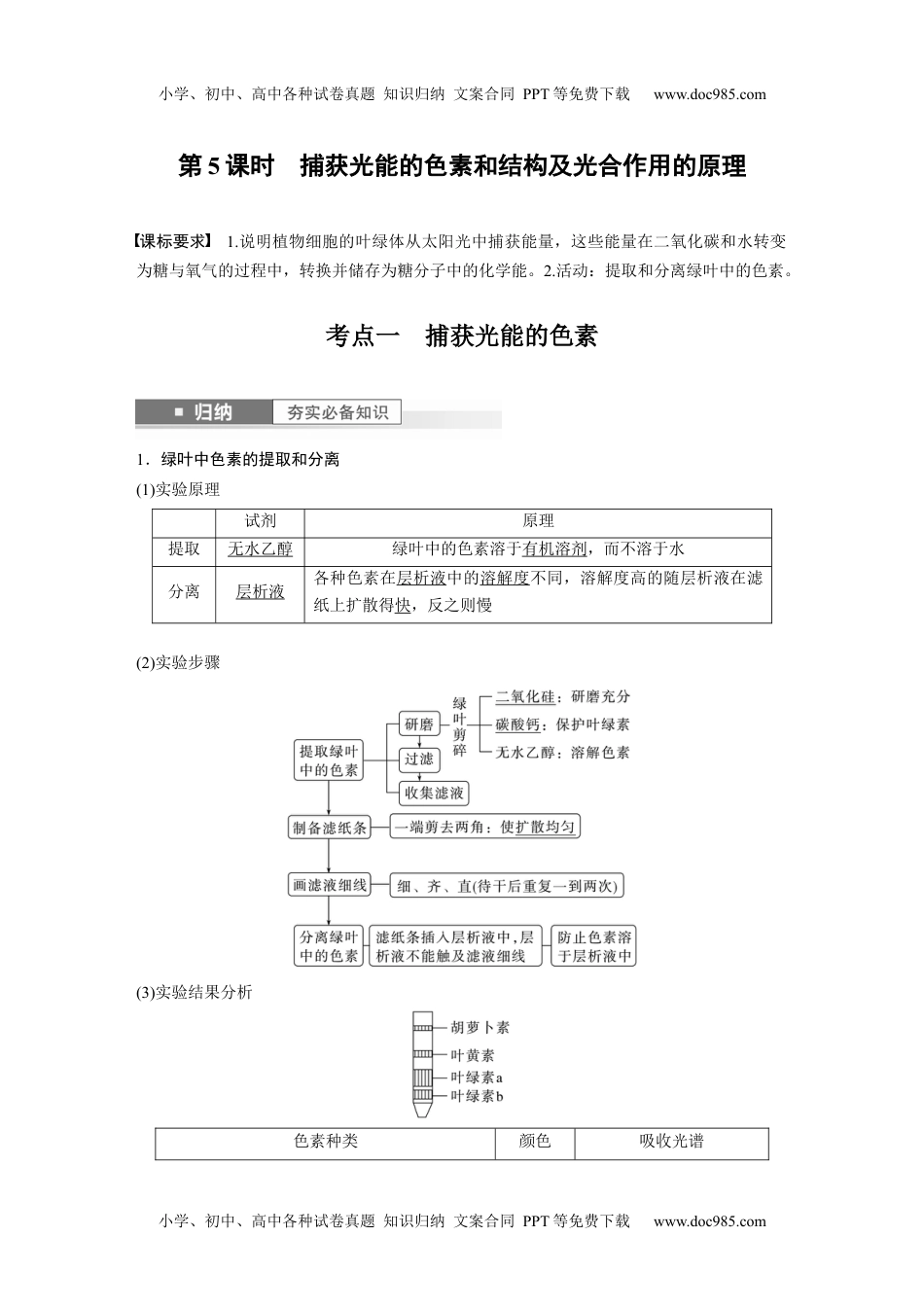 2024年高考生物一轮复习讲义（新人教版）2024年高考生物一轮复习（新人教版） 第3单元　第5课时　捕获光能的色素和结构及光合作用的原理.docx