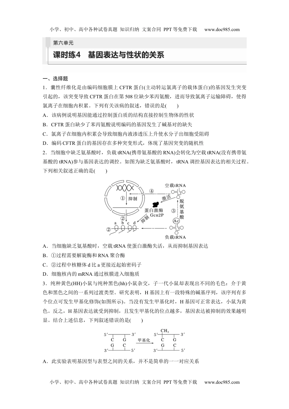 2024年高考生物一轮复习讲义（新人教版）第6单元　课时练4　基因表达与性状的关系.docx