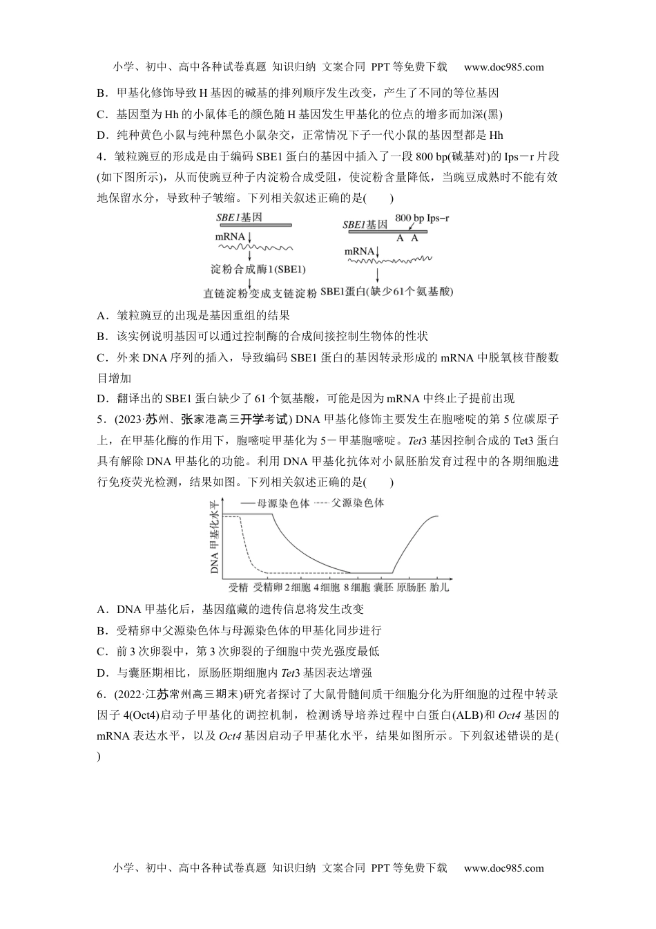 2024年高考生物一轮复习讲义（新人教版）第6单元　课时练4　基因表达与性状的关系.docx