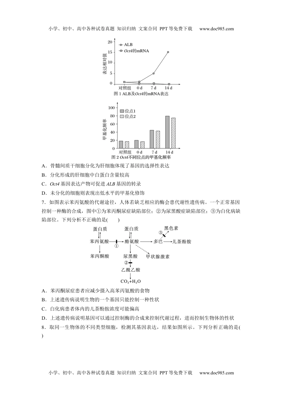 2024年高考生物一轮复习讲义（新人教版）第6单元　课时练4　基因表达与性状的关系.docx