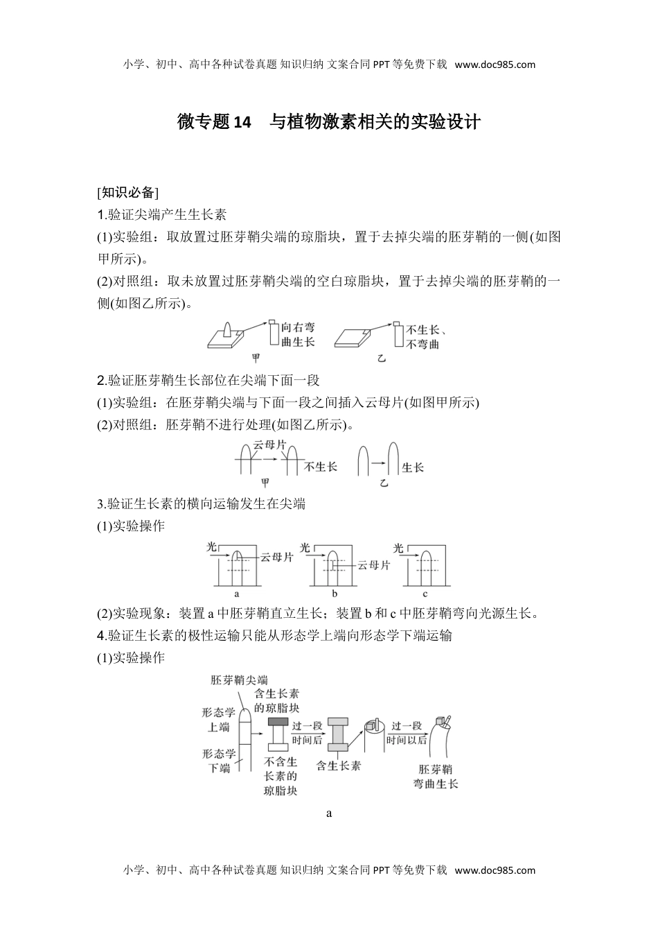 2024年高考生物一轮复习讲义（新人教版）微专题14 与植物激素相关的实验设计.doc