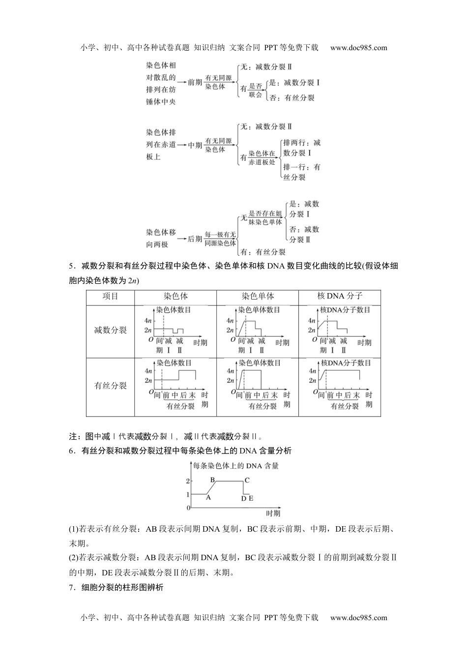 2024年高考生物一轮复习讲义（新人教版）第4单元　第4课时　减数分裂与有丝分裂的比较及观察蝗虫精母细胞减数分裂装片.docx