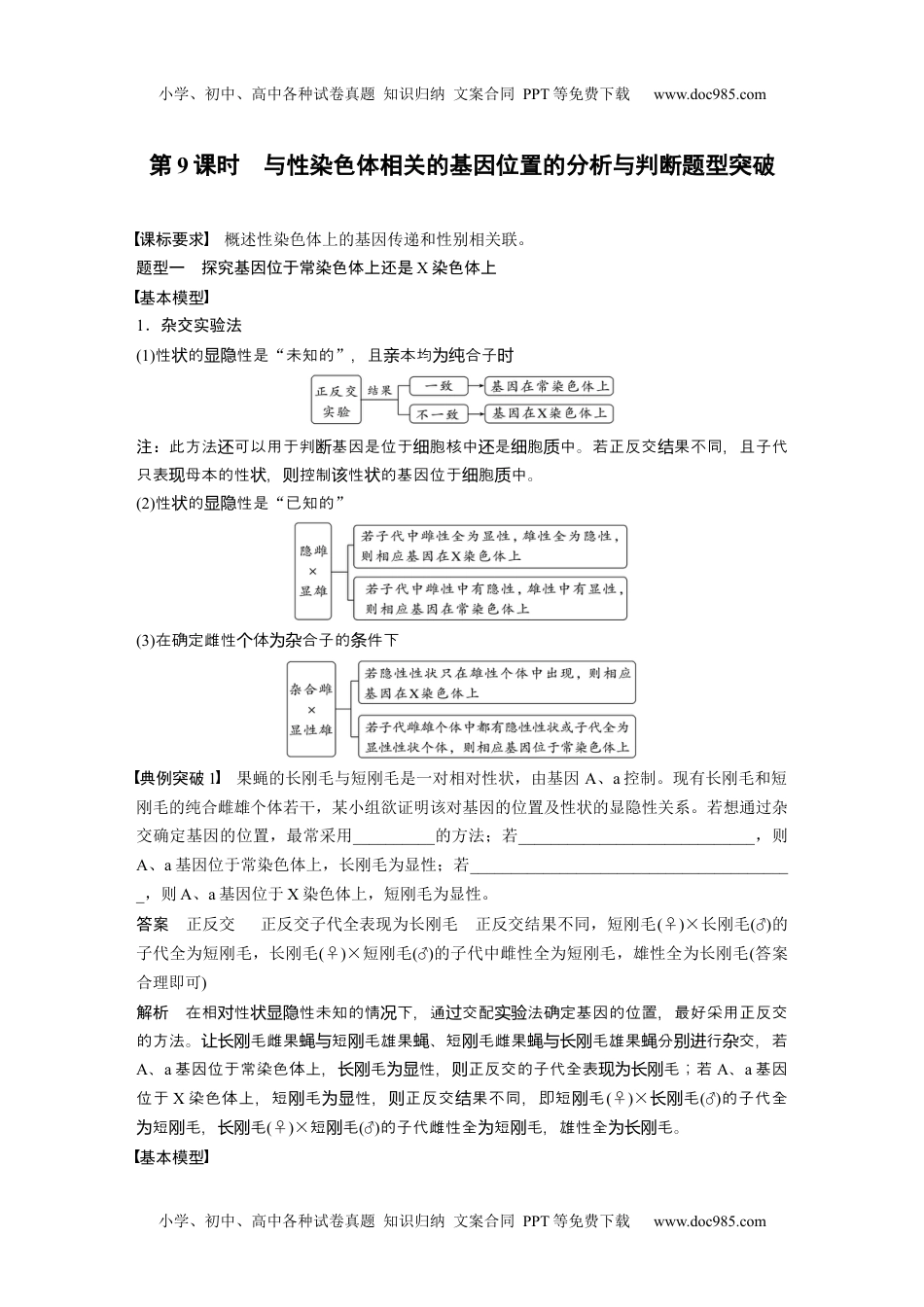 2024年高考生物一轮复习讲义（新人教版）2024年高考生物一轮复习（新人教版） 第5单元　第9课时　与性染色体相关的基因位置的分析与判断题型突破.docx