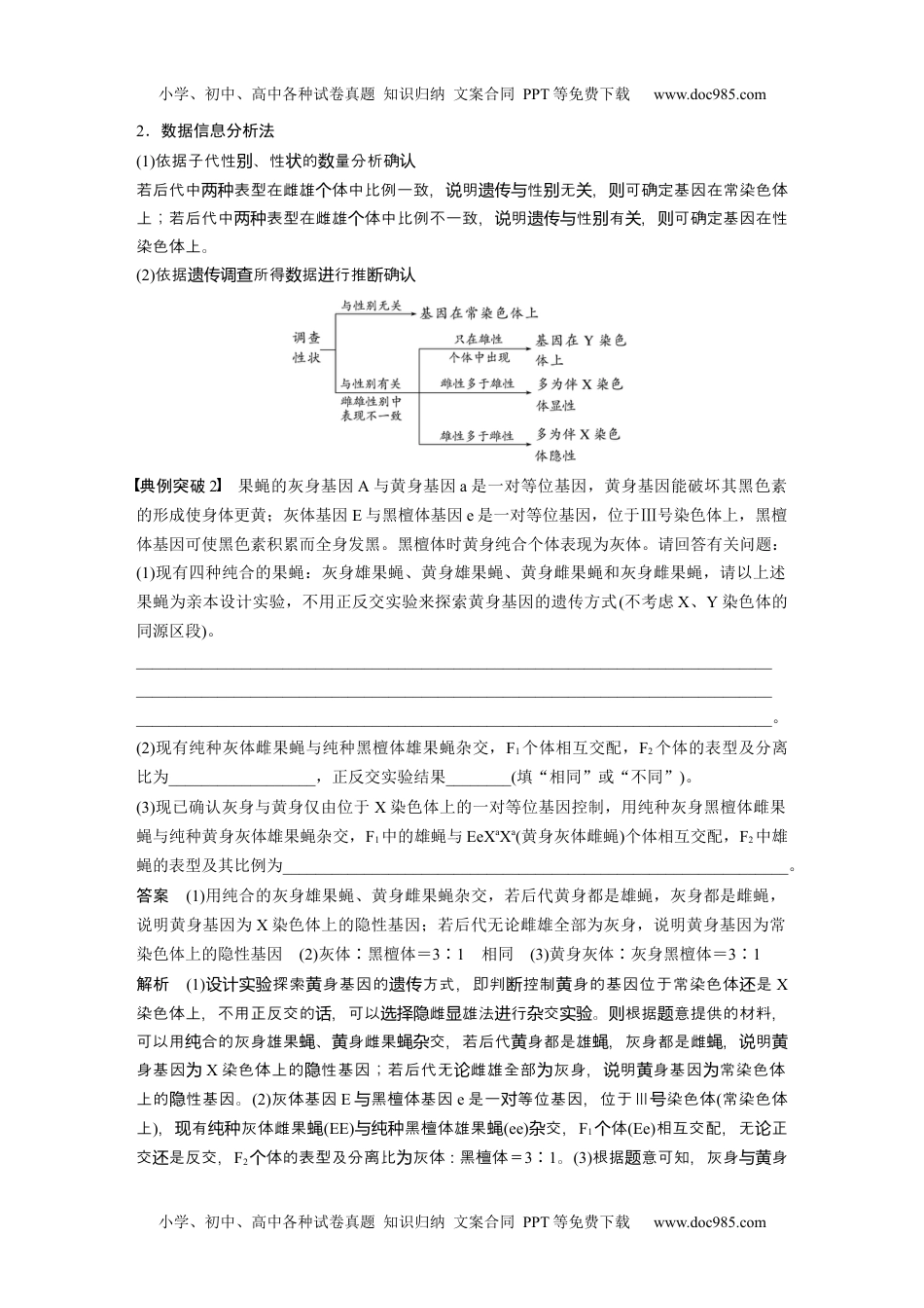 2024年高考生物一轮复习讲义（新人教版）2024年高考生物一轮复习（新人教版） 第5单元　第9课时　与性染色体相关的基因位置的分析与判断题型突破.docx