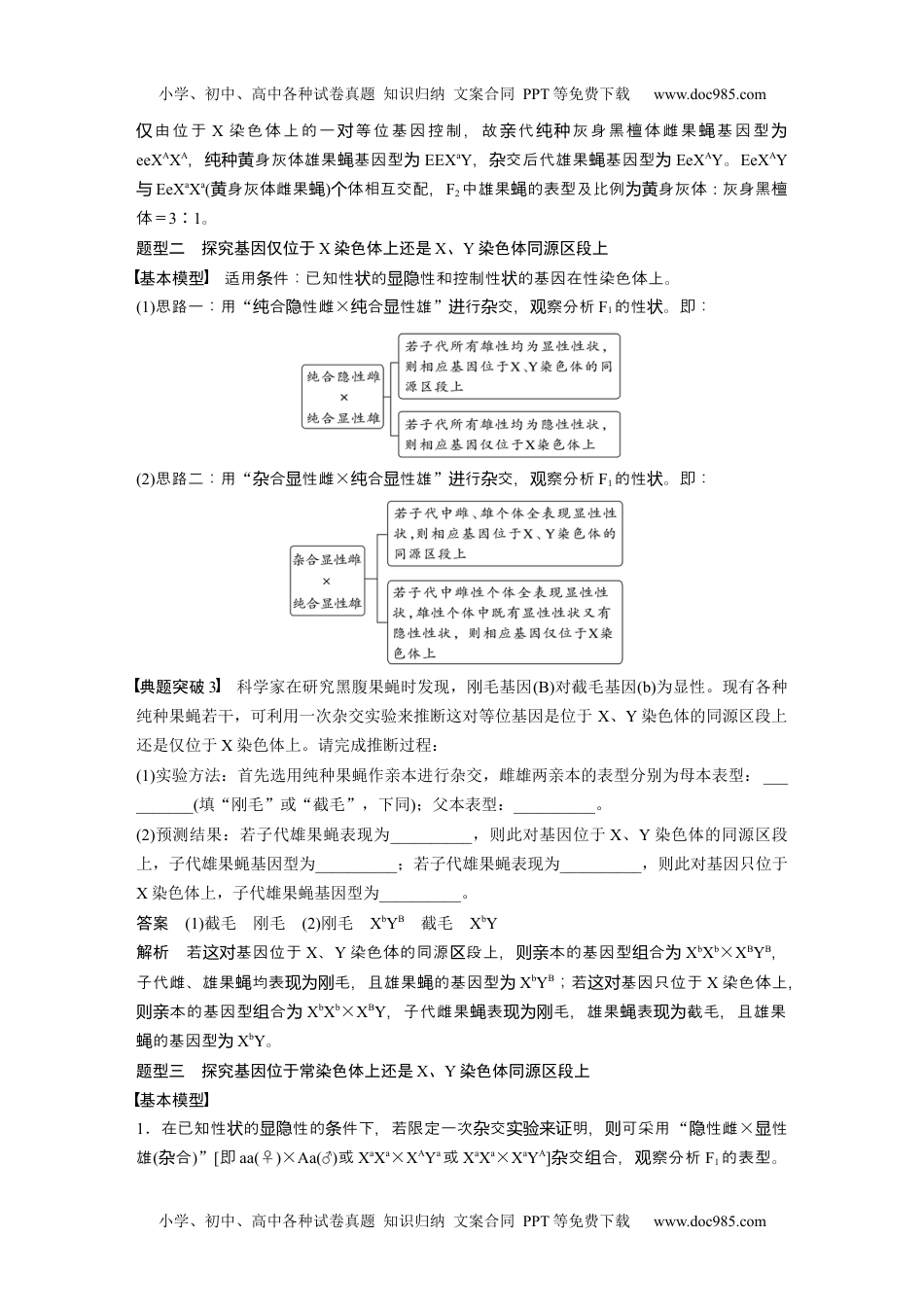 2024年高考生物一轮复习讲义（新人教版）2024年高考生物一轮复习（新人教版） 第5单元　第9课时　与性染色体相关的基因位置的分析与判断题型突破.docx