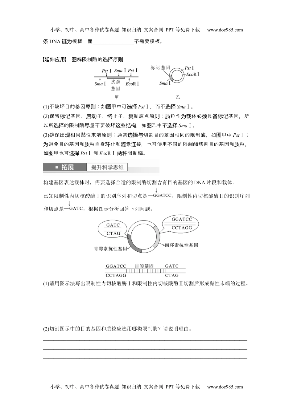 2024年高考生物一轮复习讲义（新人教版）第10单元　第6课时　基因工程的基本工具和基本操作程序.docx