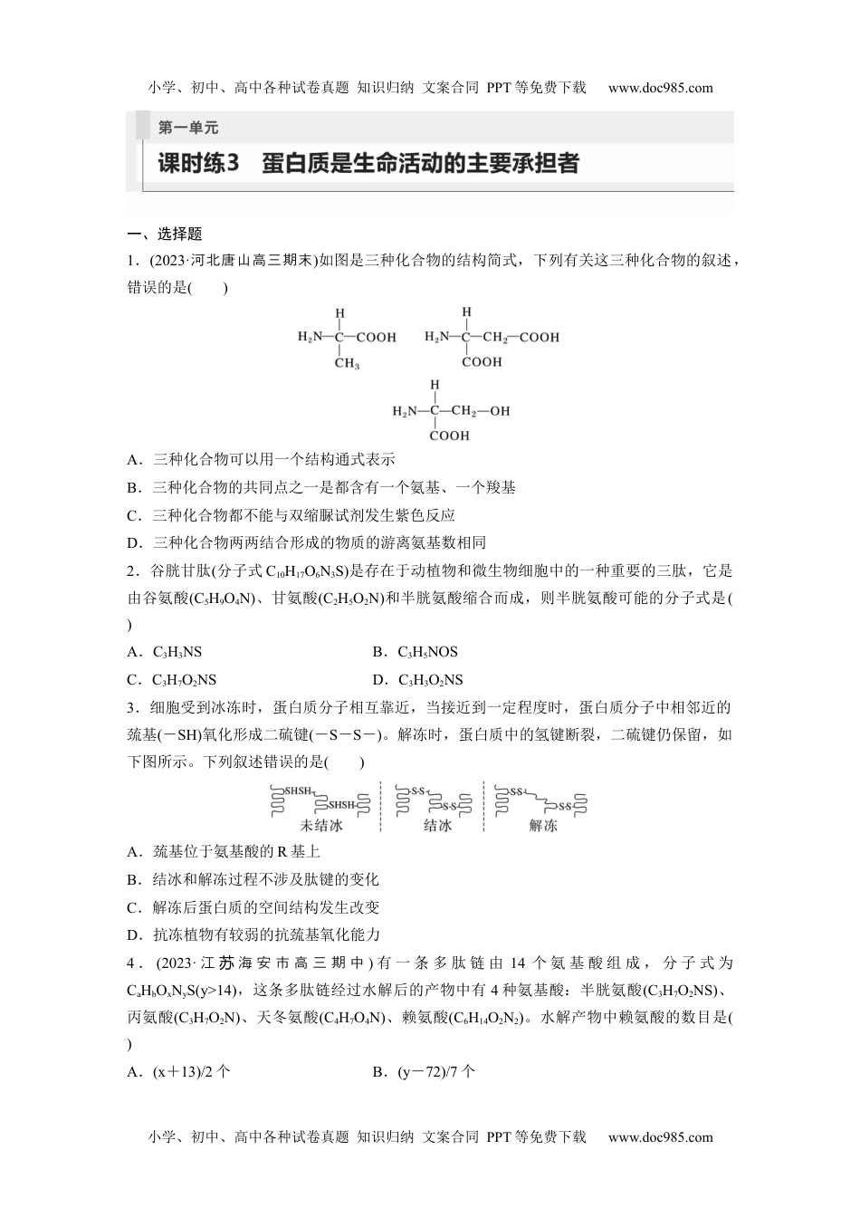 2024年高考生物一轮复习讲义（新人教版）第1单元　课时练3　蛋白质是生命活动的主要承担者.docx