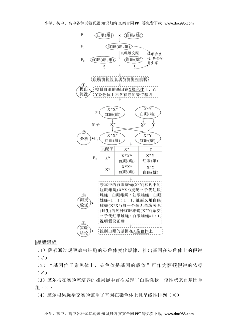 2024年高考生物一轮复习讲义（新人教版）第15讲 伴性遗传和人类遗传病.doc