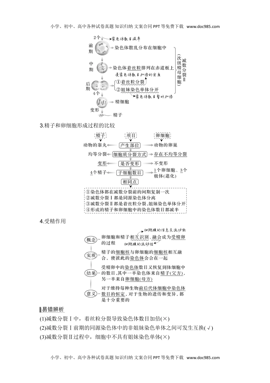 2024年高考生物一轮复习讲义（新人教版）第11讲 减数分裂和受精作用.doc