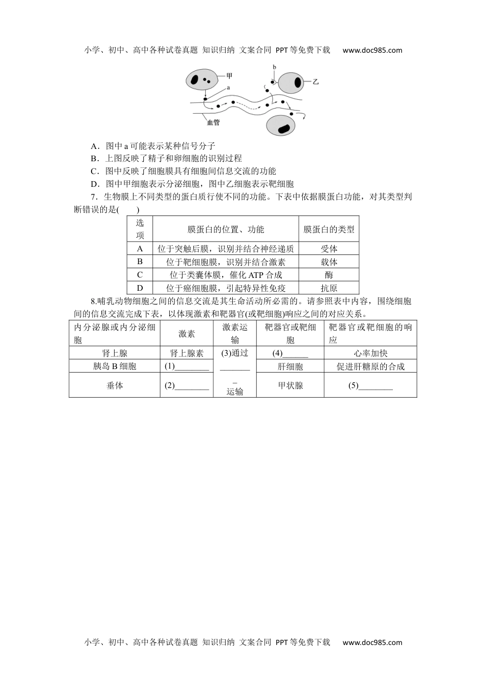 2023《微专题·小练习》·生物专练8　细胞膜——系统的边界.docx