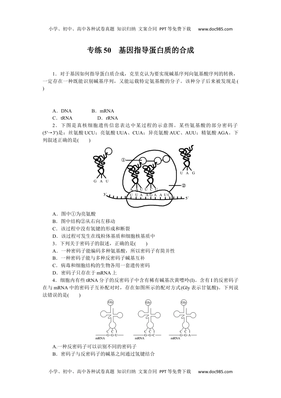 2023《微专题·小练习》·生物·新教材·XL-7专练50　基因指导蛋白质的合成.docx