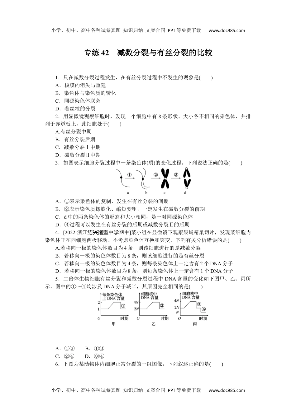 2023《微专题·小练习》·生物·新教材·XL-7专练42　减数分裂与有丝分裂的比较.docx