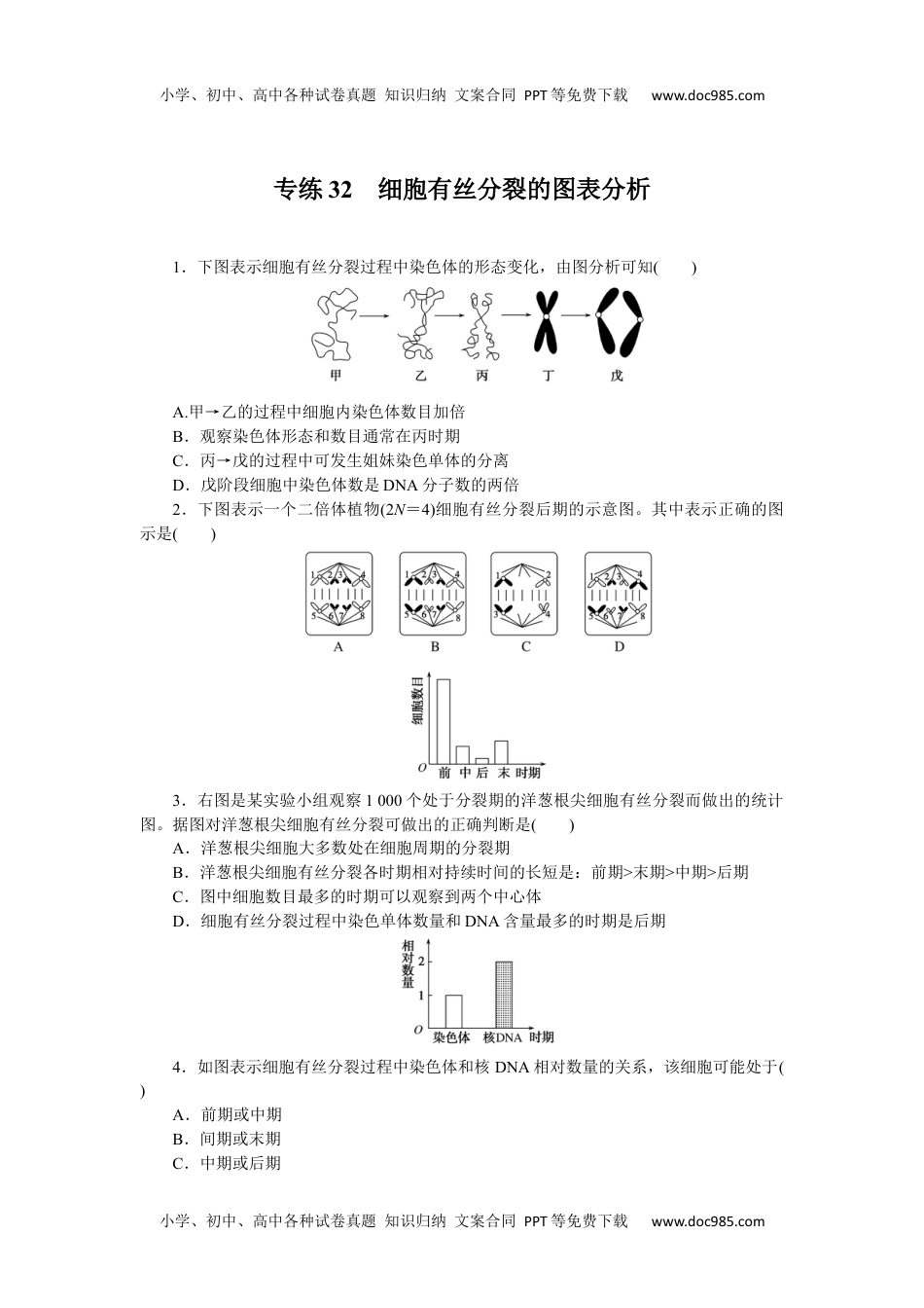 2023《微专题·小练习》·生物·新教材·XL-7专练32　细胞有丝分裂的图表分析.docx