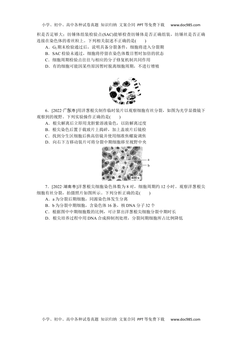 2023《微专题·小练习》·生物·新教材·XL-7专练31　细胞的增殖.docx