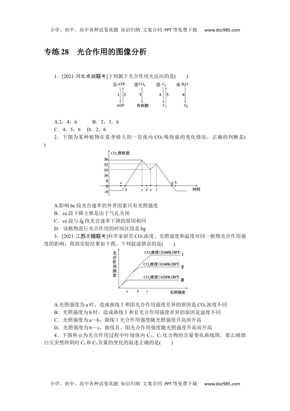 2022·微专题·小练习·生物【新高考】专练 28.docx