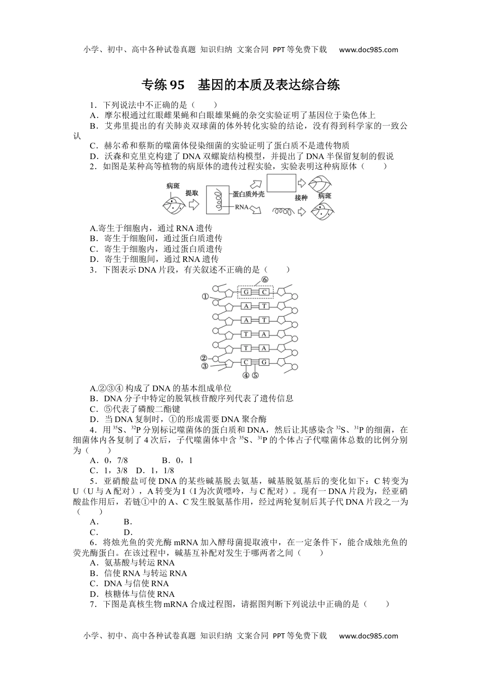 2024版《微专题》·生物·统考版专练95.docx