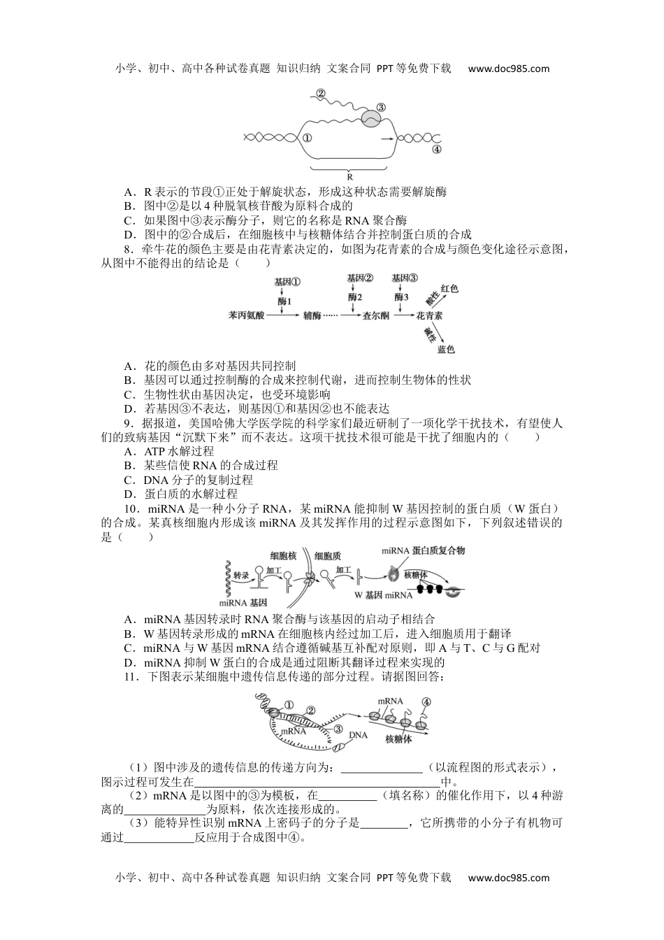 2024版《微专题》·生物·统考版专练95.docx