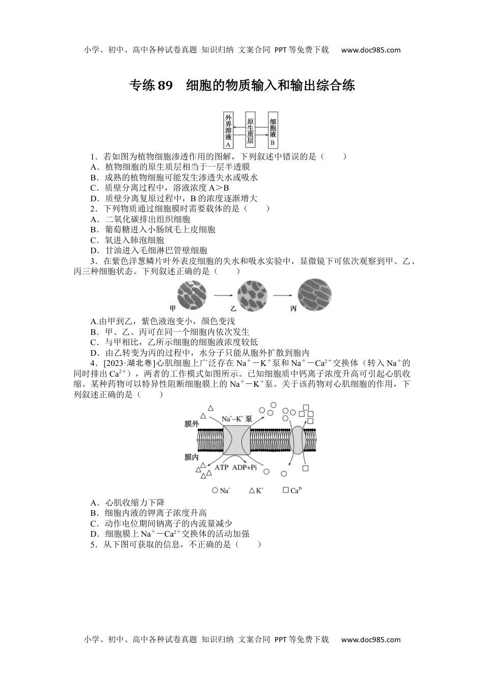 2024版《微专题》·生物·统考版专练89.docx