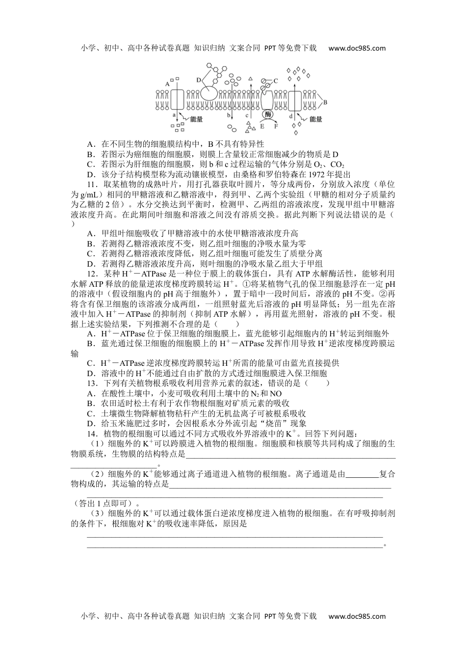 2024版《微专题》·生物·统考版专练89.docx