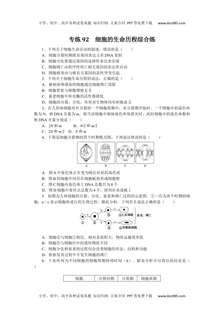 2023《微专题·小练习》·生物专练92　细胞的生命历程综合练.docx