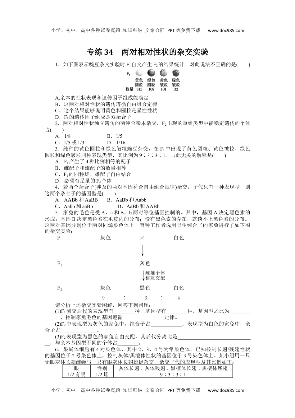 2024版《微专题》·生物·统考版专练34.docx