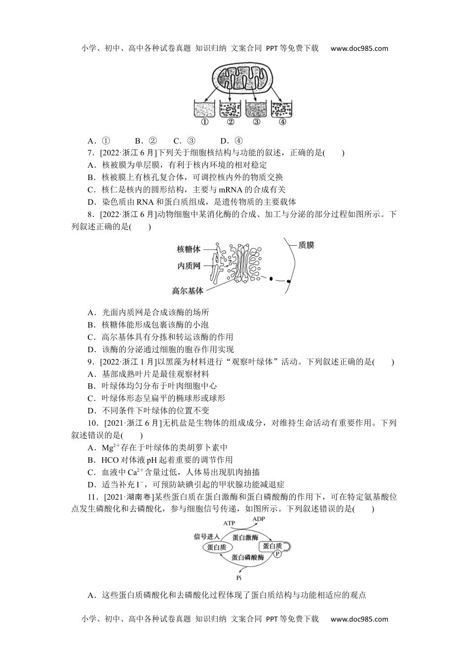 2023《大考卷》二轮专项分层特训卷•生物学【新教材】专题一　生命系统的物质基础和结构基础.docx