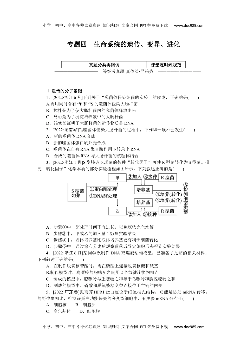 2023《大考卷》二轮专项分层特训卷•生物学【新教材】专题四　生命系统的遗传、变异、进化.docx