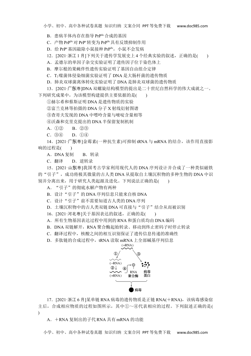 2023《大考卷》二轮专项分层特训卷•生物学【新教材】专题四　生命系统的遗传、变异、进化.docx