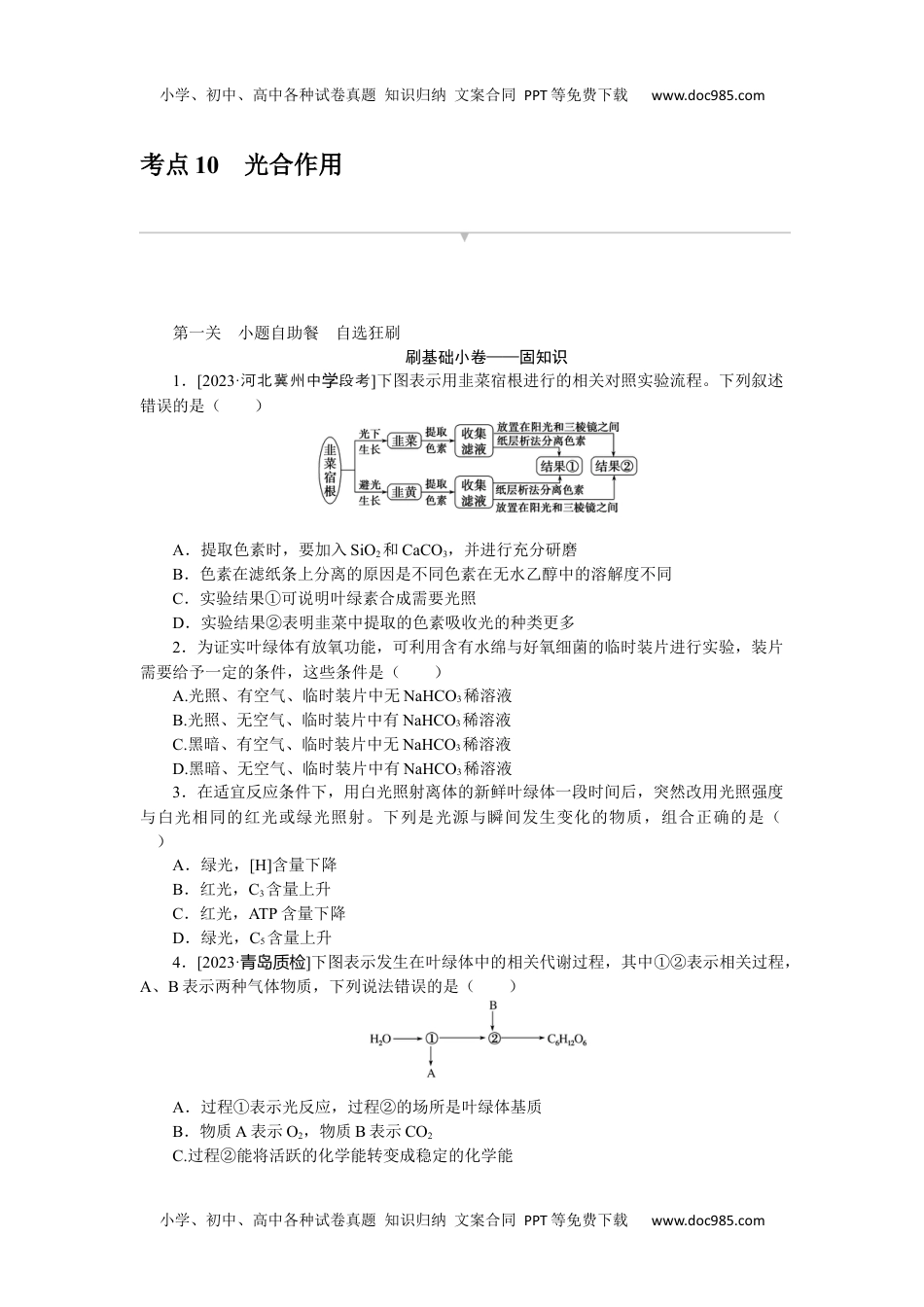 2024版《大考卷》全程考评特训卷·生物学【新教材】考点 10.docx