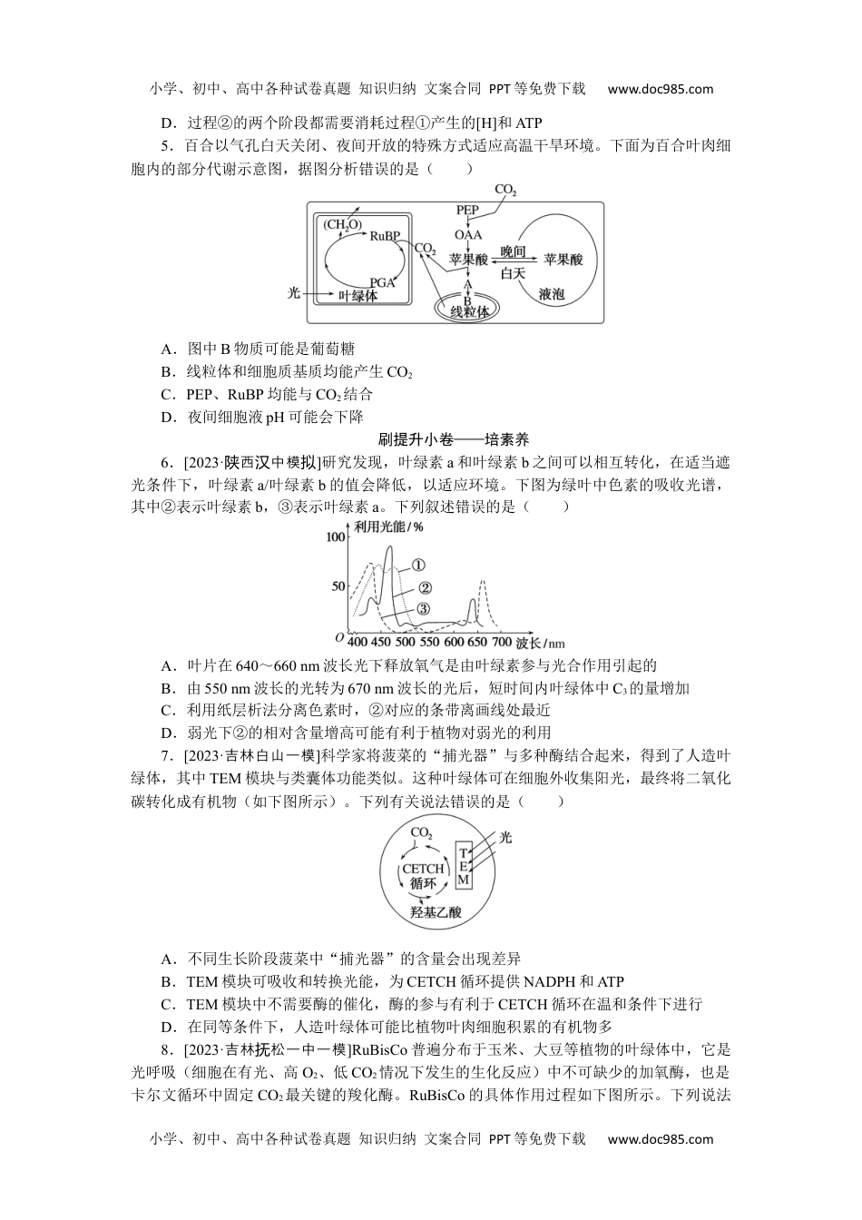 2024版《大考卷》全程考评特训卷·生物学【新教材】考点 10.docx