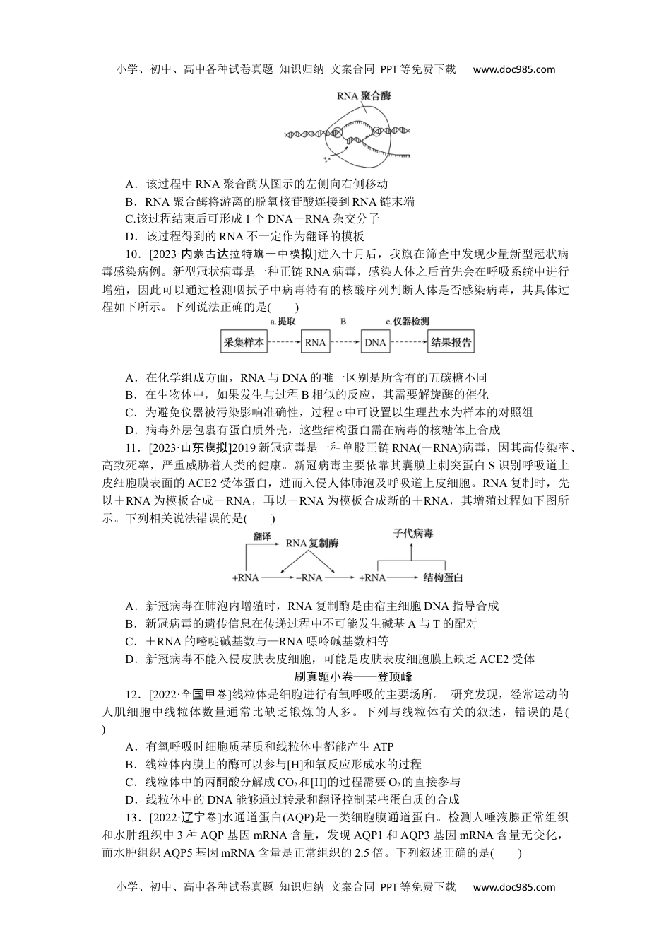 2024版《大考卷》全程考评特训卷·生物【统考版】考点19.docx