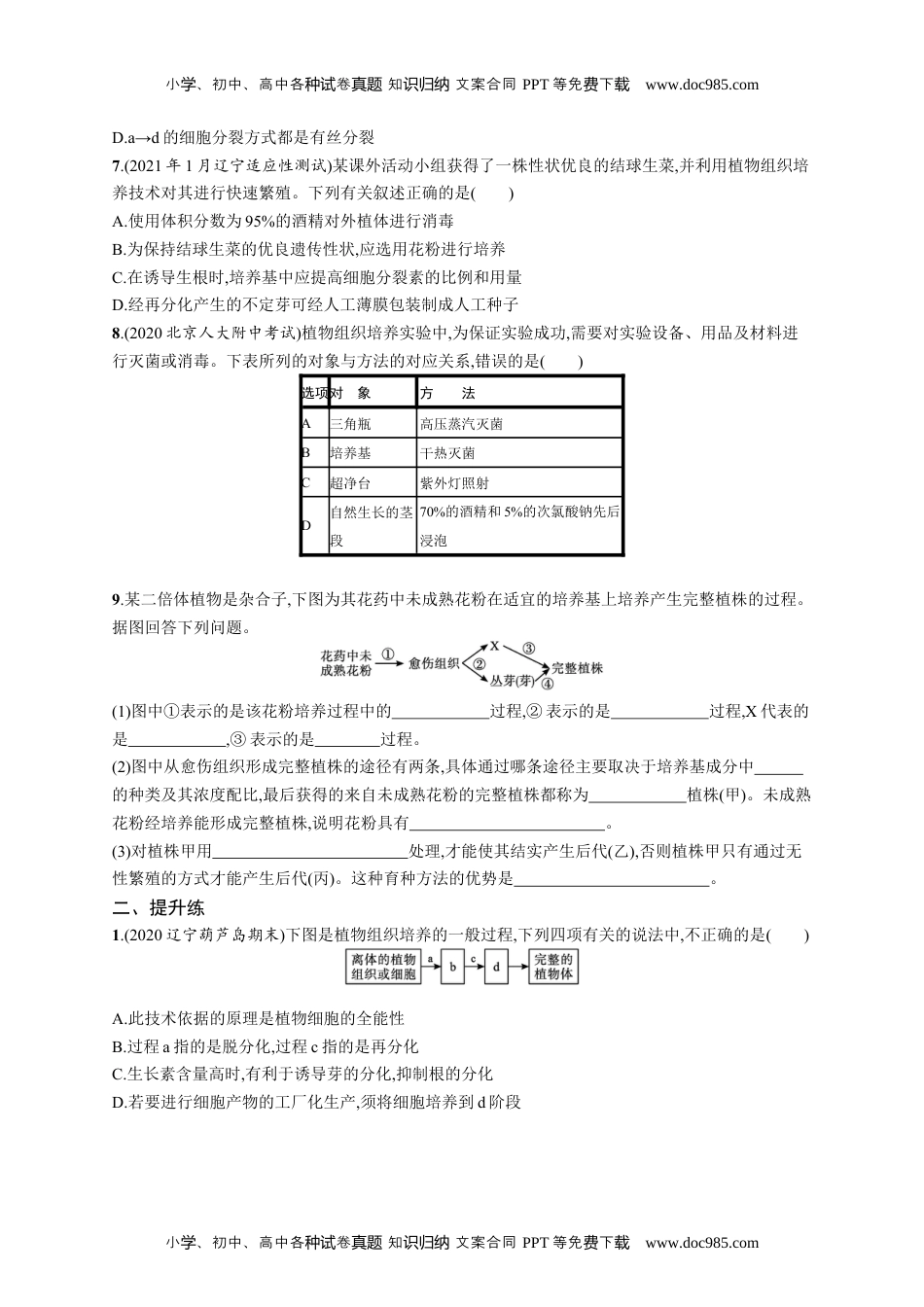 高考复习专项练习一轮生物课时规范练39　植物细胞工程.docx