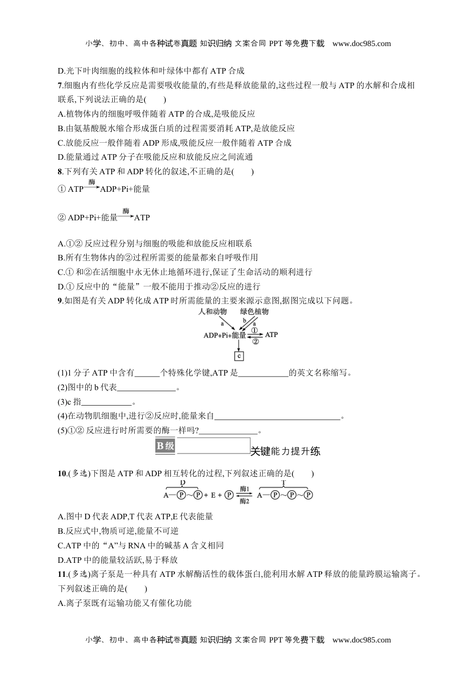 高中生物《必修1》课后习题word第2节　细胞的能量“货币”ATP.docx