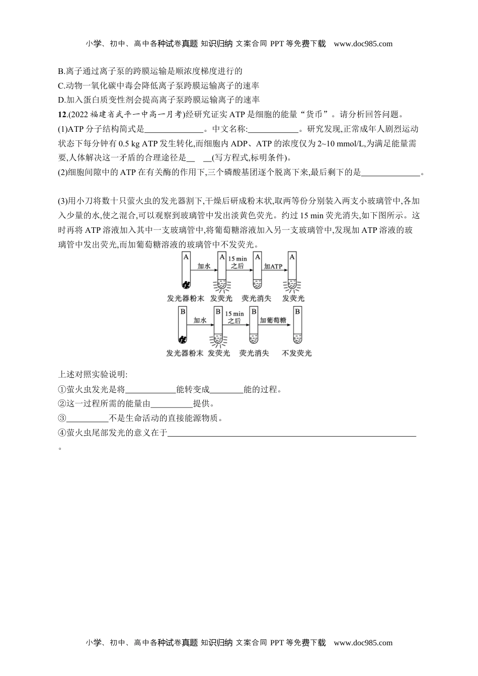 高中生物《必修1》课后习题word第2节　细胞的能量“货币”ATP.docx