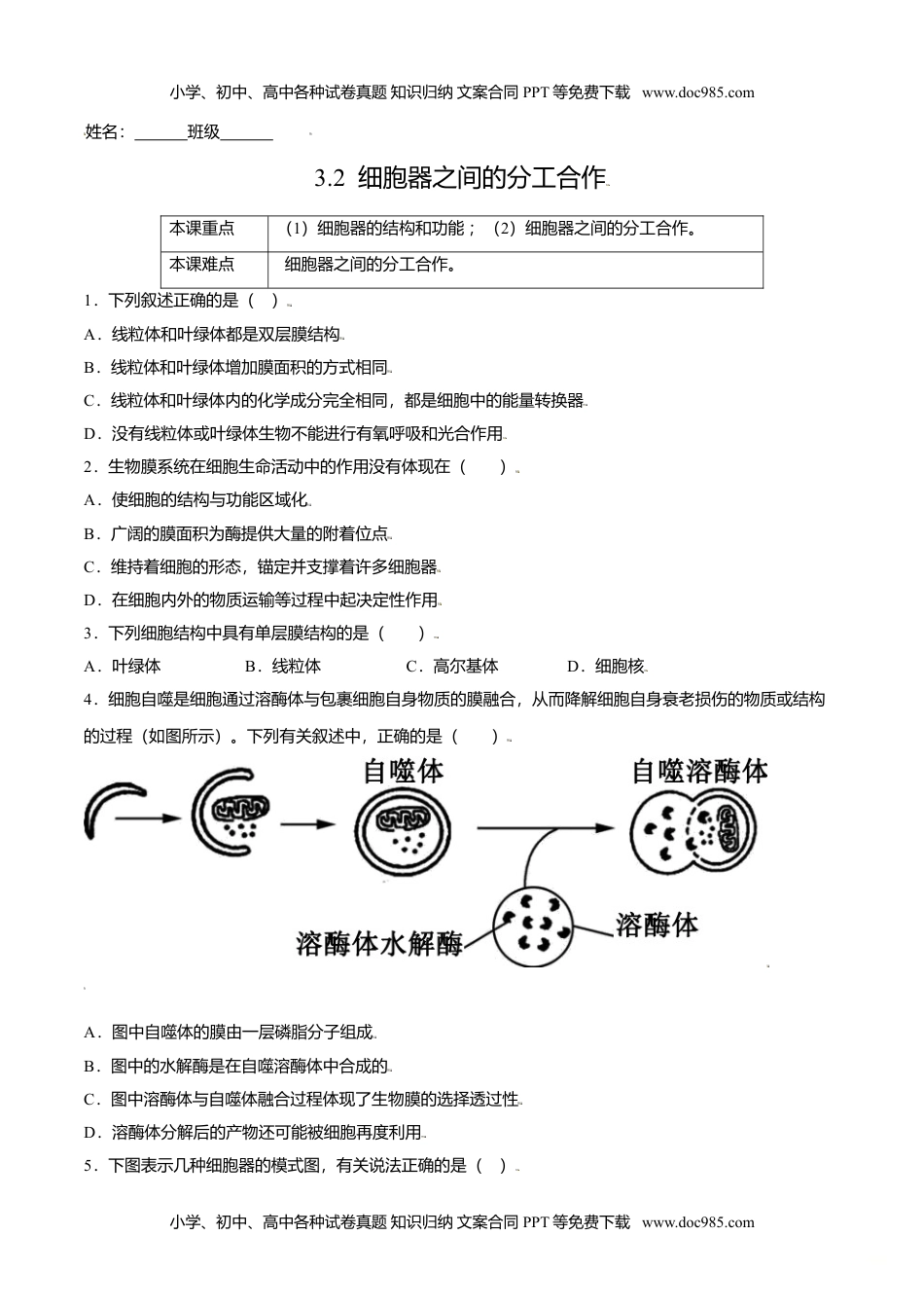 高一生物3.2  细胞器之间的分工合作-高一生物课后培优练（人教版2019必修1）（原卷版）.doc