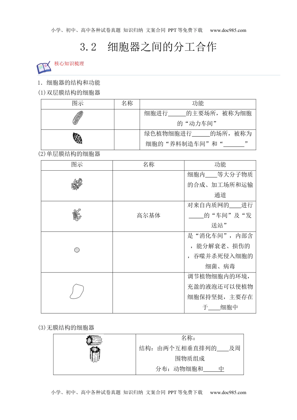 高一生物3.2 细胞器之间的分工合作-高一生物上学期课后培优分级练（2019人教版必修1）（原卷版）.docx