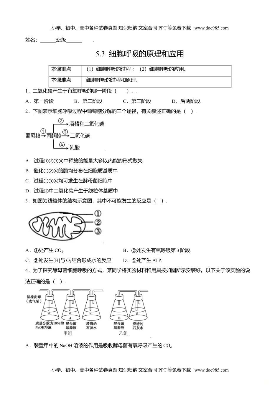 高一生物5.3  细胞呼吸的原理和应用-高一生物课后培优练（人教版2019必修1）（原卷版）.doc