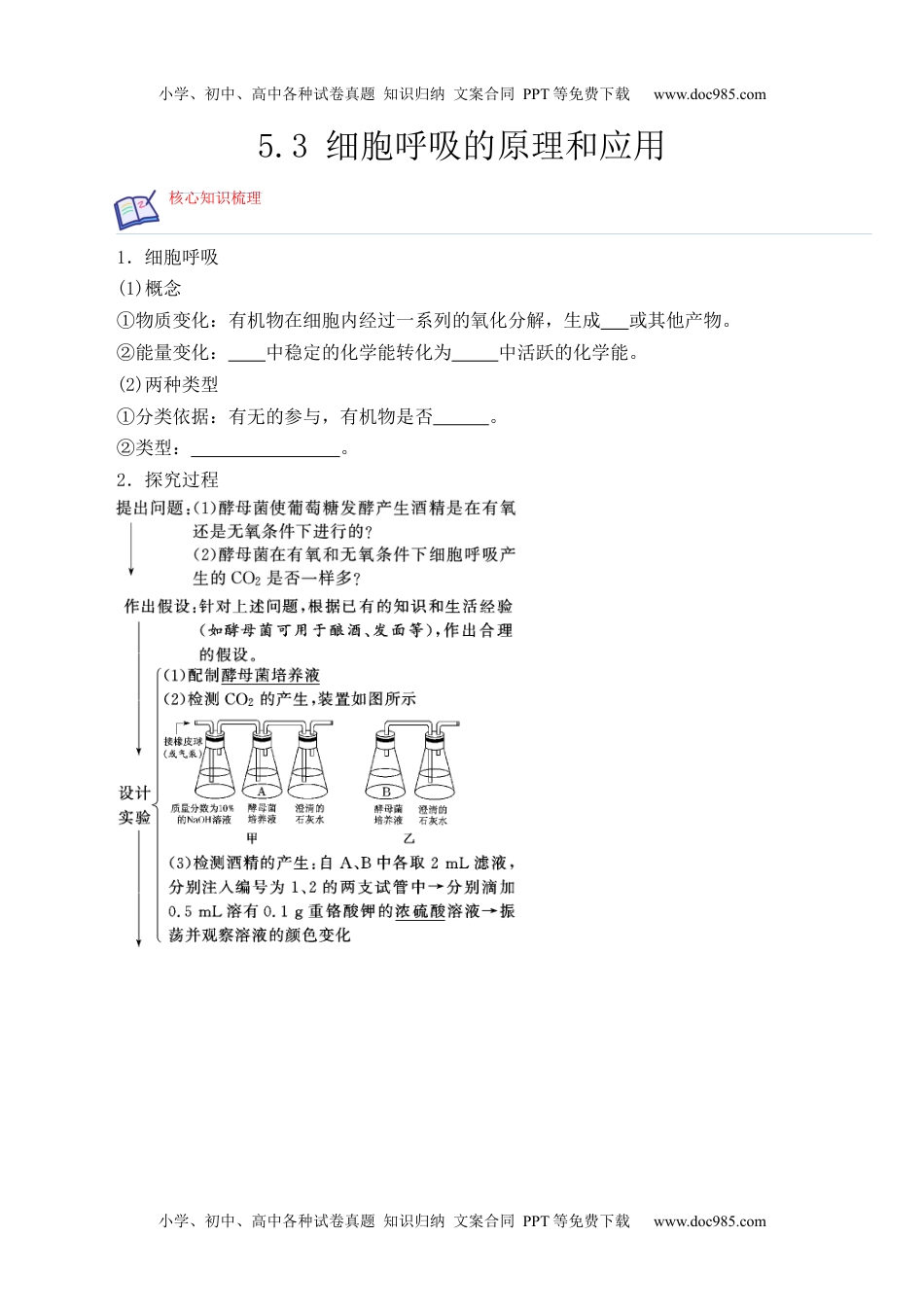 高一生物5.3 细胞呼吸的原理和应用- 高一生物上学期课后培优分级练（2019人教版必修1）（原卷版）.docx