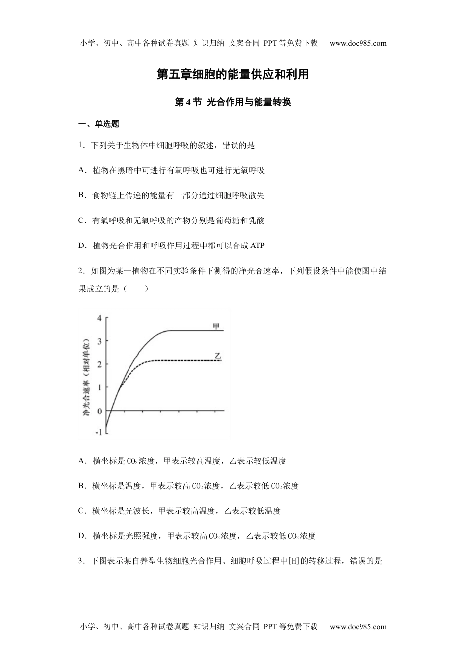 高一生物5.4.2 光合作用与能量转换 练习【新教材】人教版（2019）高中生物必修一.docx